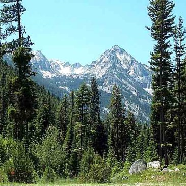 Best Hikes in Bitterroot National Forest (MT)