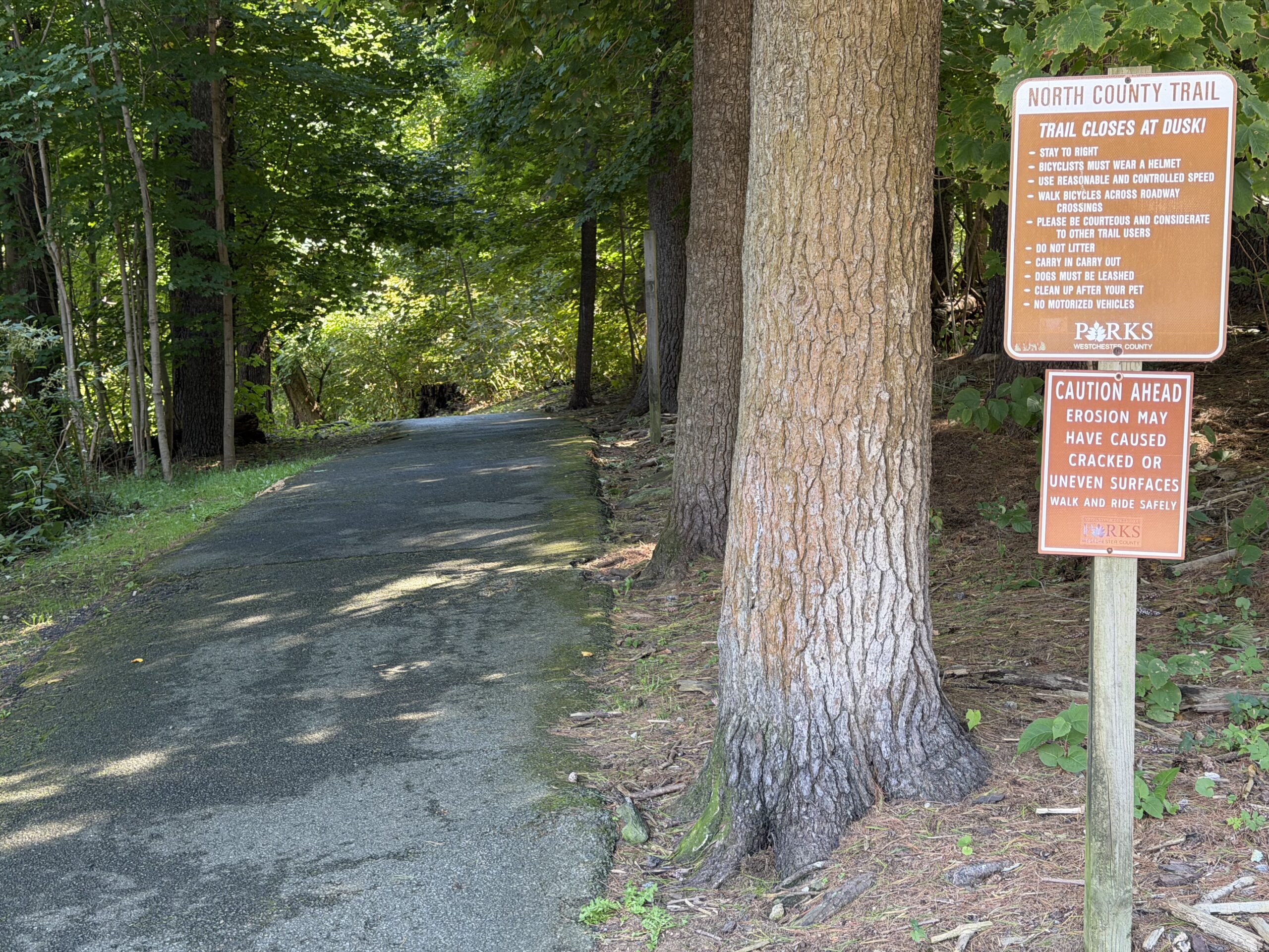 Smooth paved North County Trail section that runs perpendicular to the Empire State Trail