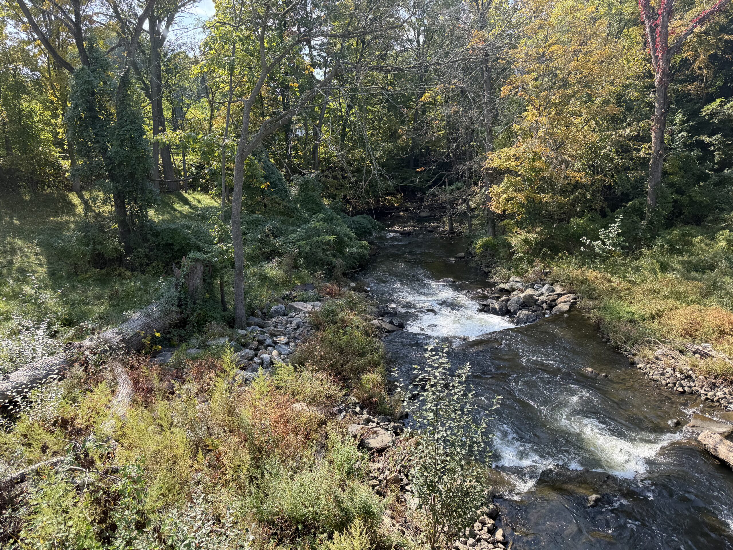 Wooded stream along the Empire State Trail in New York