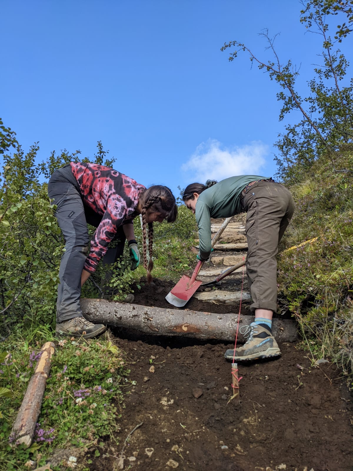 Log step construction (Izzy Cadec)