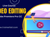 Video Editing Master Class With Adobe Premiere Pro Trainerbd Training