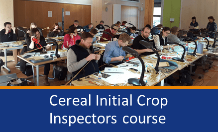 Github Openalea Training Niab Workshop Introductory Course To Model - Geometric Backgrounds - Classic 4K Collection