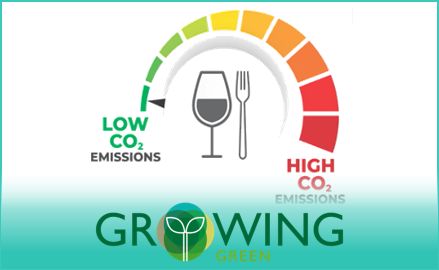 Niab Digital Training Platform - Colorful Texture Collection - Desktop Quality