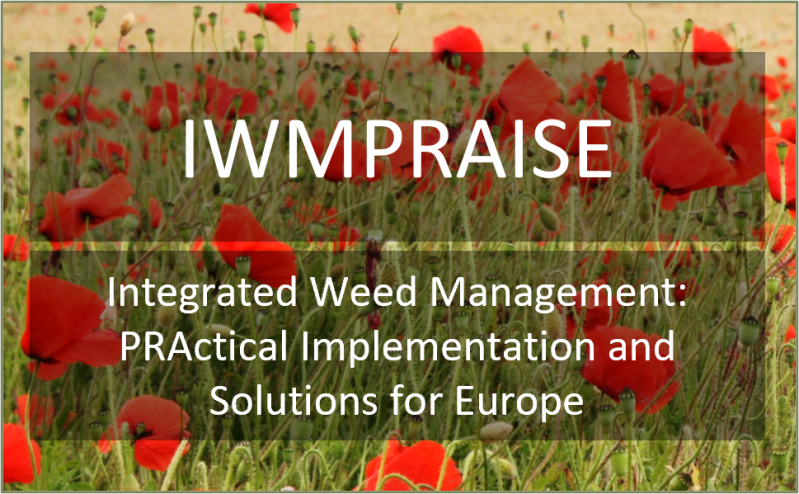 Github Openalea Training Niab Workshop Introductory Course To Model - Incredible Full HD City Designs | Free Download