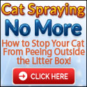 Cat Peeing Outside Litter Box
