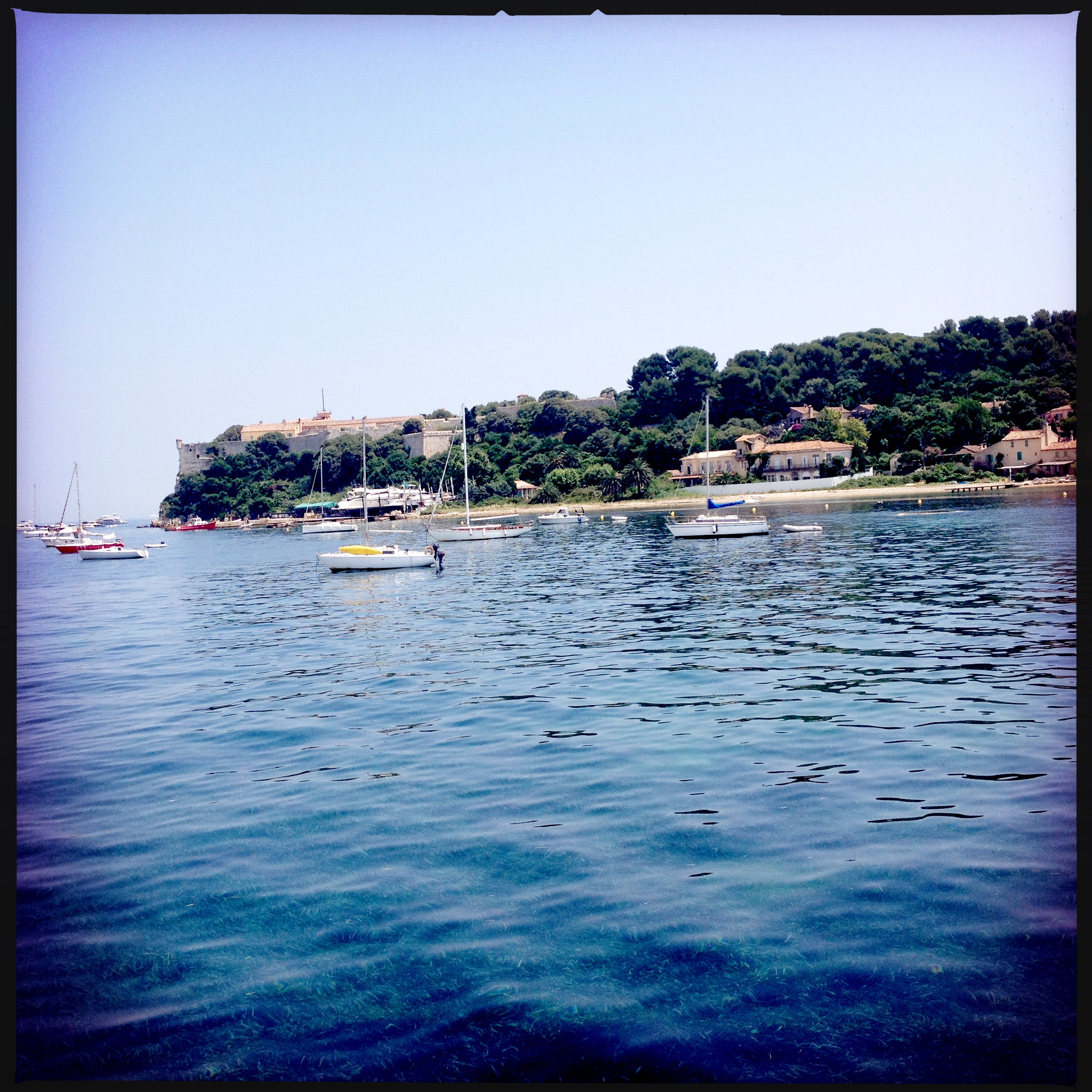 Île Sainte-Marguerite, a half mile away from Cannes via boat, is a eucalyptus and pine tree paradise (in contrast to the palm tree-lined sandy shores of Cannes made famous for holding the Man in the Iron Mask in the 17th century.