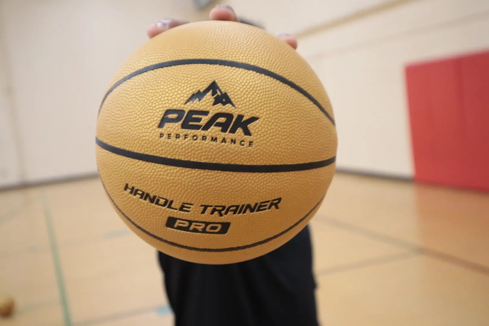 Gold | Weighted Mini Basketball | Size 3 Small Ball