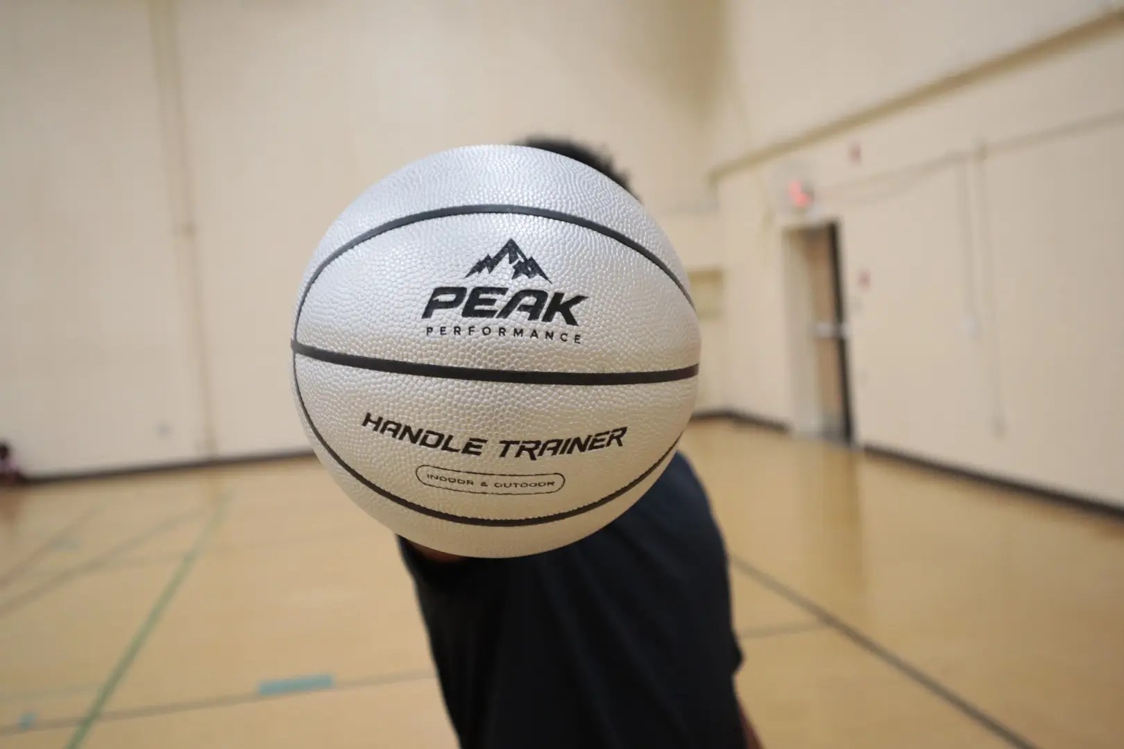 Platinum | Weighted Mini Basketball | Size 3 Small Ball