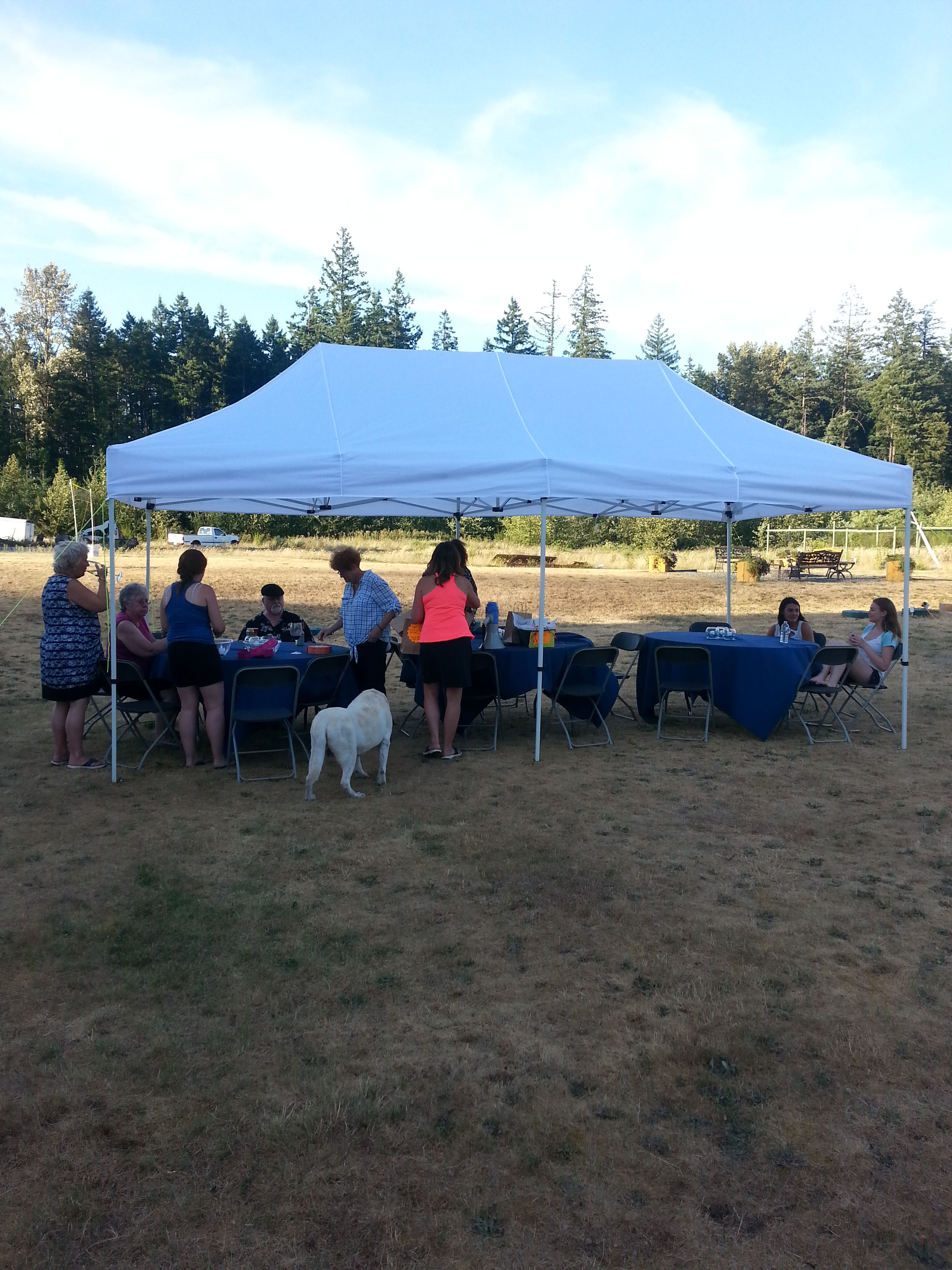 Bateman Family Reunion 2015