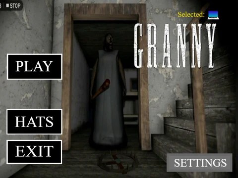 Granny 2026 381370117