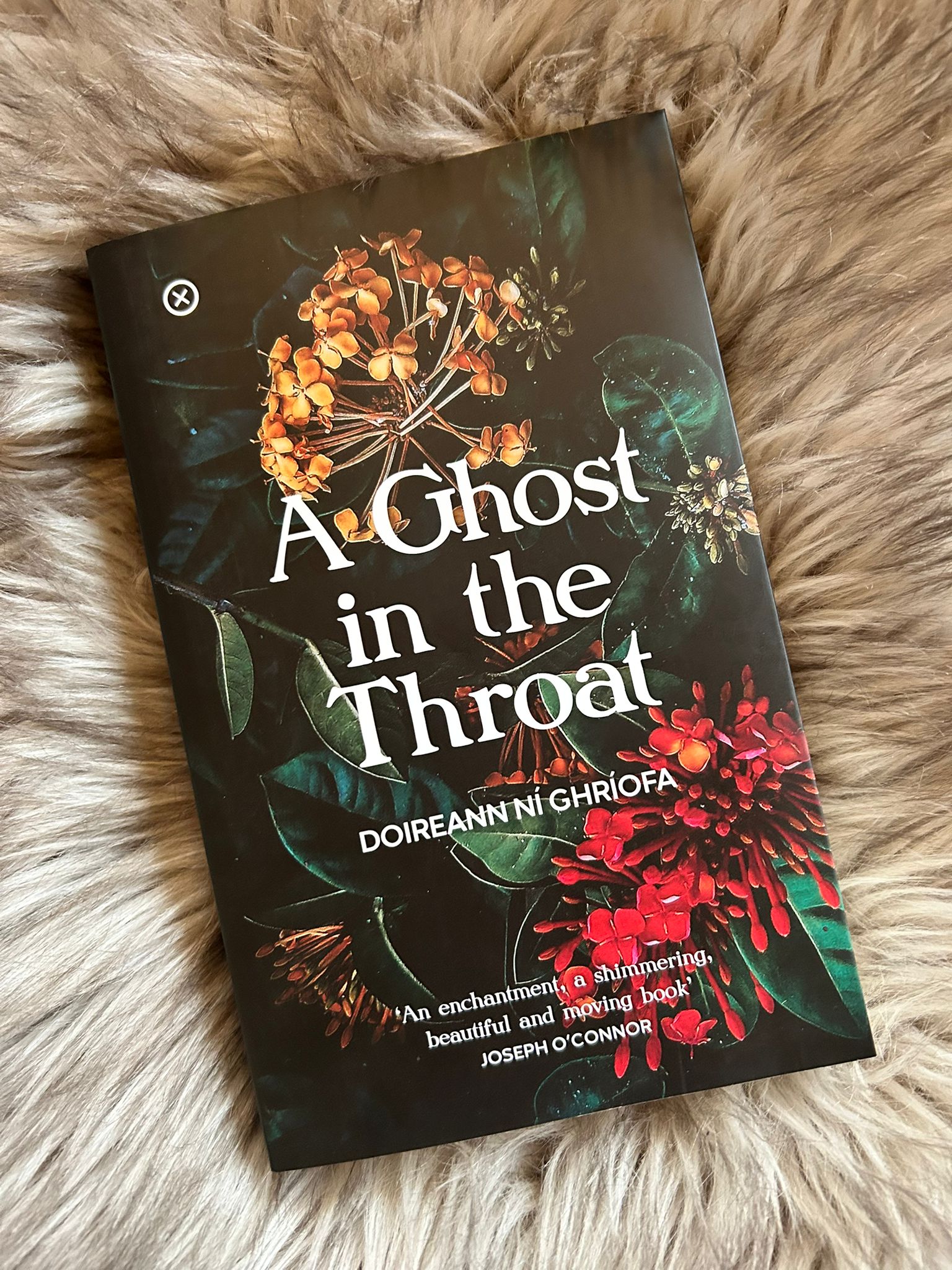 First Edition Copies of 'A Ghost in the Throat'