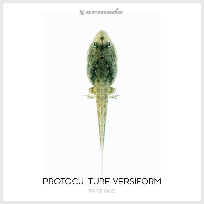 Protoculture – Versiform Part 1