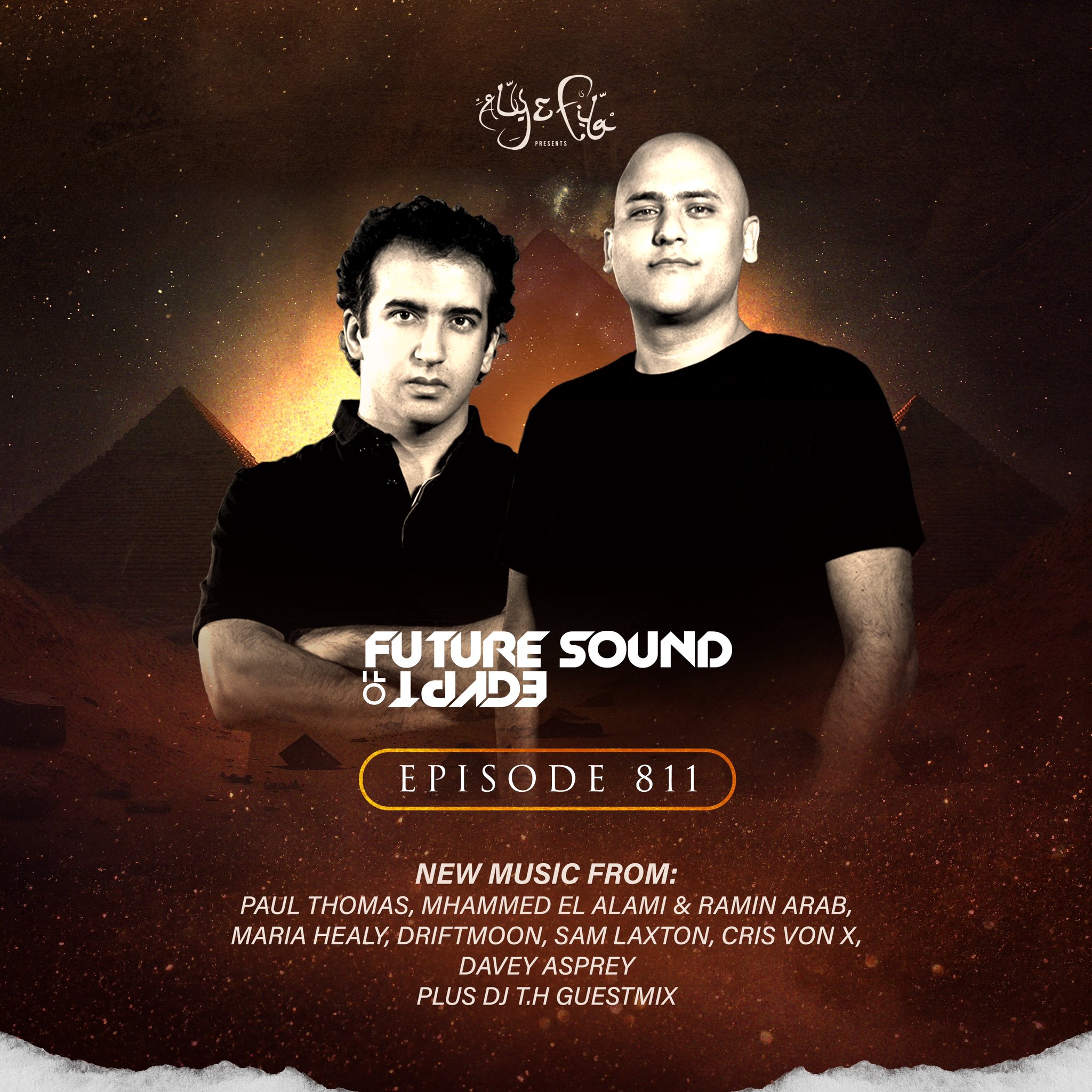 fsoe811