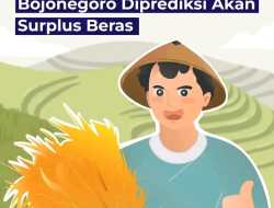 Petani Panen Maret dan April 2024, Bojonegoro Diprediksi Akan Surplus Beras