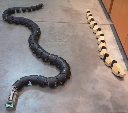 Snake Robot Acts Like Real Snake - Beautiful Dark Pattern - HD