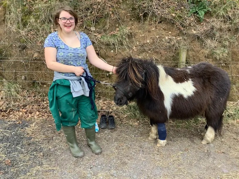 bandaging a pony