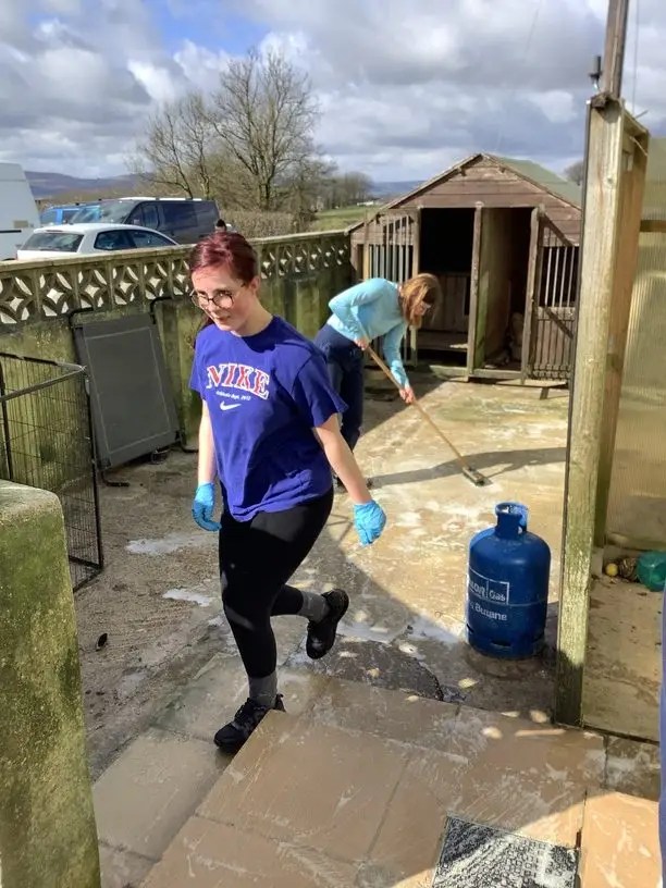 gsd kennels work experience