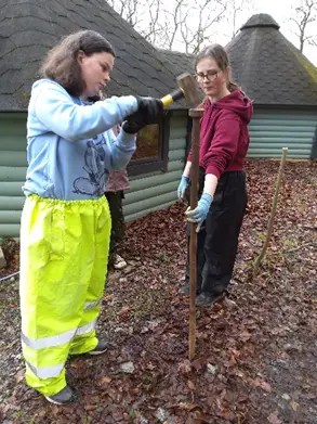 gardening groups 5 & 6