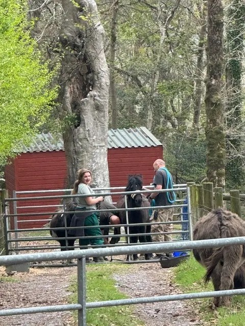 A farrier checking the hooves of a donkey.