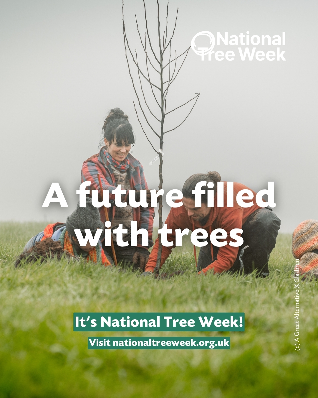 poster for national tree week, two people planted a sapling