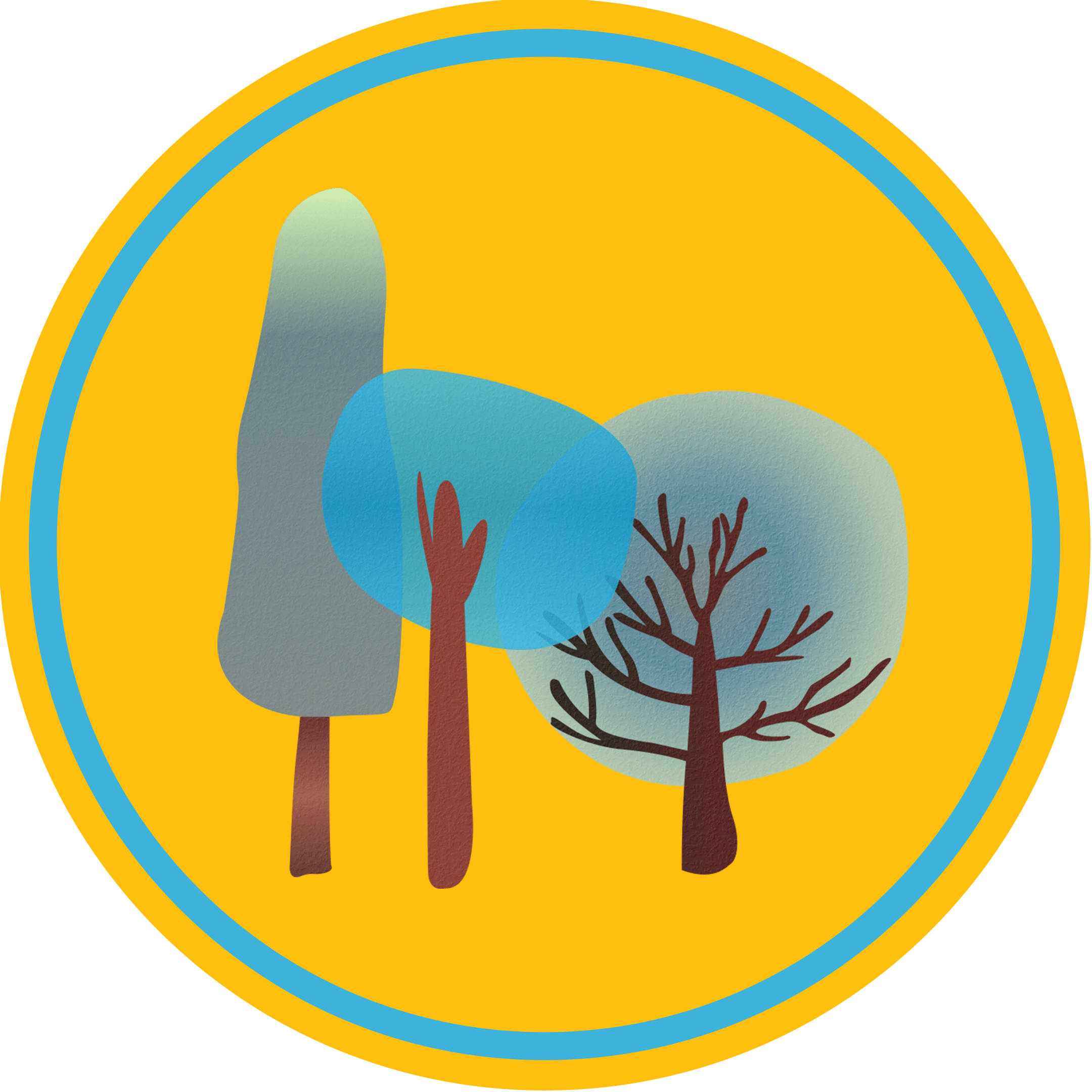 TST sen college logo