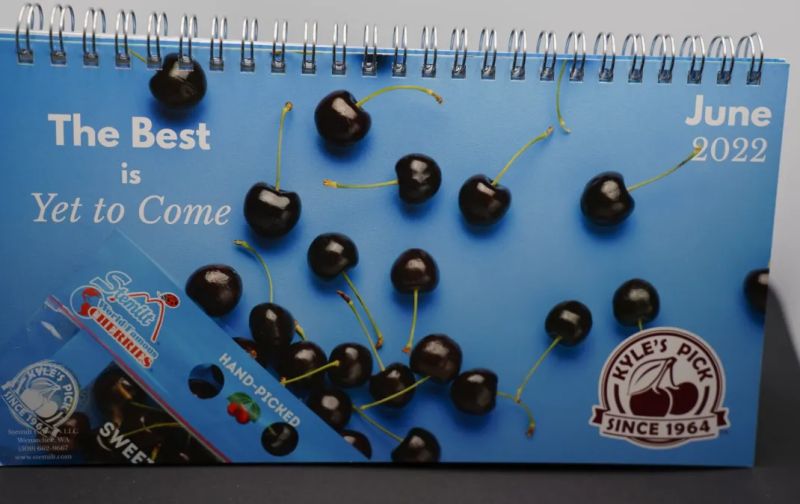 Laminated Flip Books - High Quality Landscape Picture - 8K