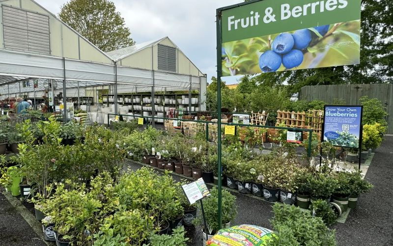 Loader Pike Nurseries - Gradient Photo Collection - HD Quality