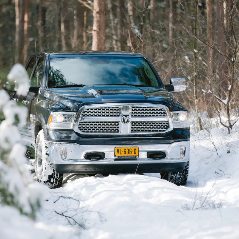 About Silverback Advertising - Download Beautiful Landscape Art | High Resolution