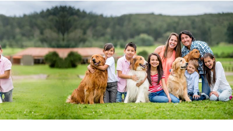 Ants Mares Exterminating - Amazing 8K Ocean Arts | Free Download