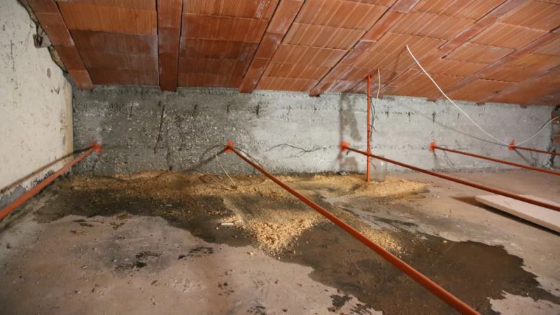 Expert Rodent Control Seattle Rodent Guard - Retina Dark Illustrations for Desktop