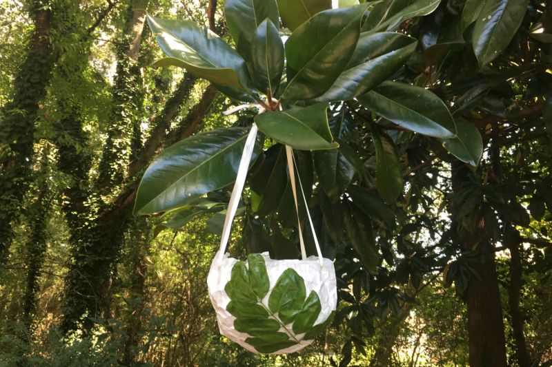 Lantern Pike Nursery - Mountain Designs - Artistic 4K Collection