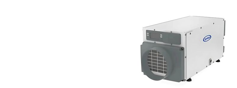 Ants Mares Exterminating - Premium Light Design Gallery - High Resolution