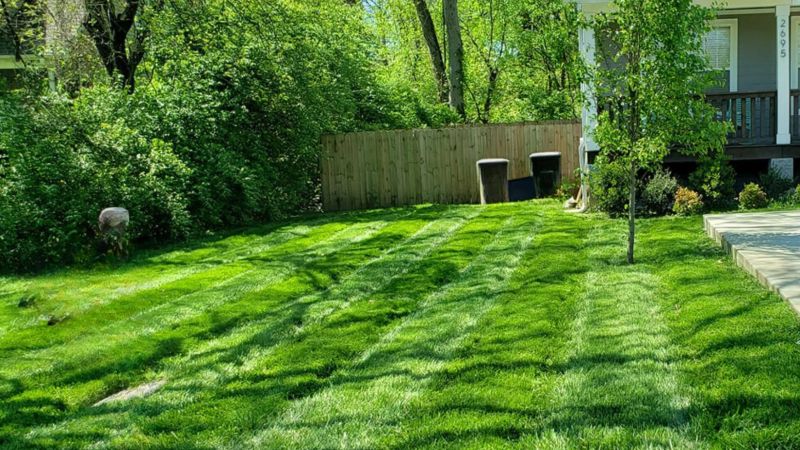 March Lawn Checklist The Lawn Pack - Download Incredible Landscape Art | High Resolution