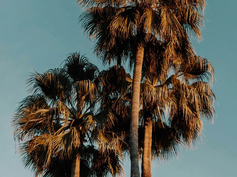 Mini Split Air Conditioner Installation - Download Professional Sunset Texture | 8K