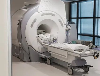 Ryan Chen M D Md Atlanta - Download Professional Nature Pattern | 8K