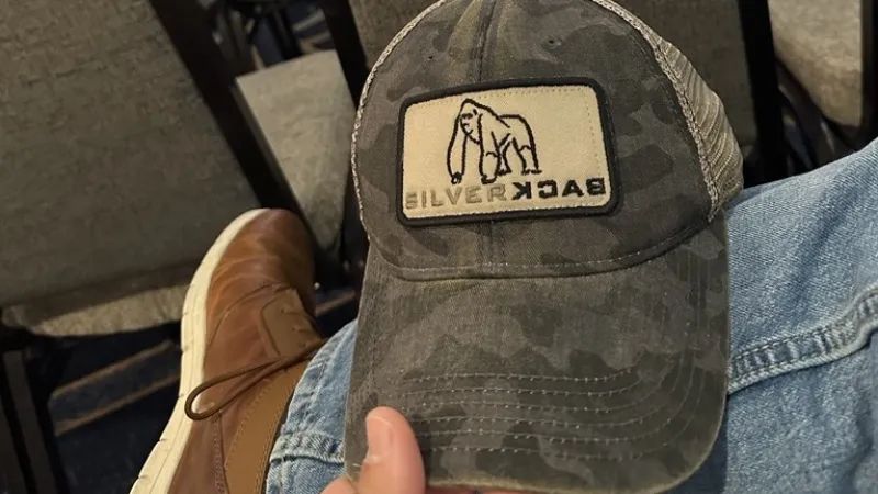 About Silverback Advertising - Best City Designs in 8K