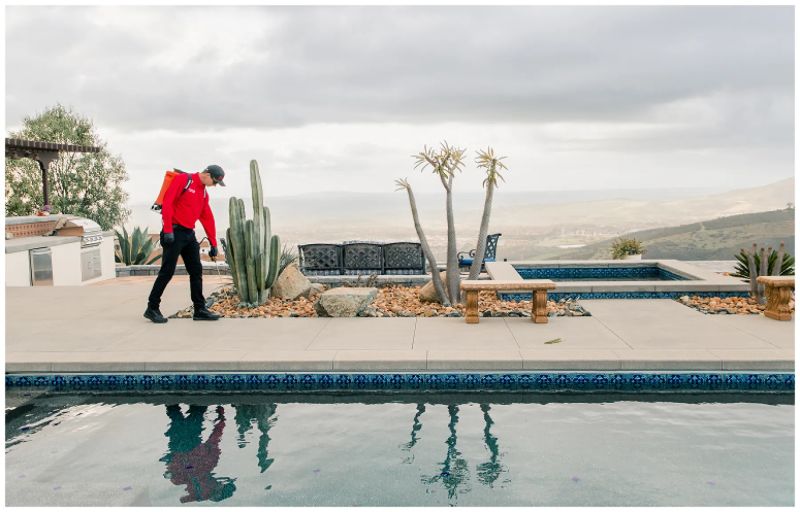 Mission Pest Control - Modern Colorful Wallpaper - High Resolution