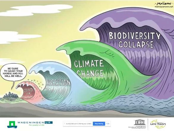 Currently Thinking About Transformative Sustainability Learning - Professional Dark Design - Full HD