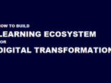The Learning Ecosystem Digital Transformation Consultancy