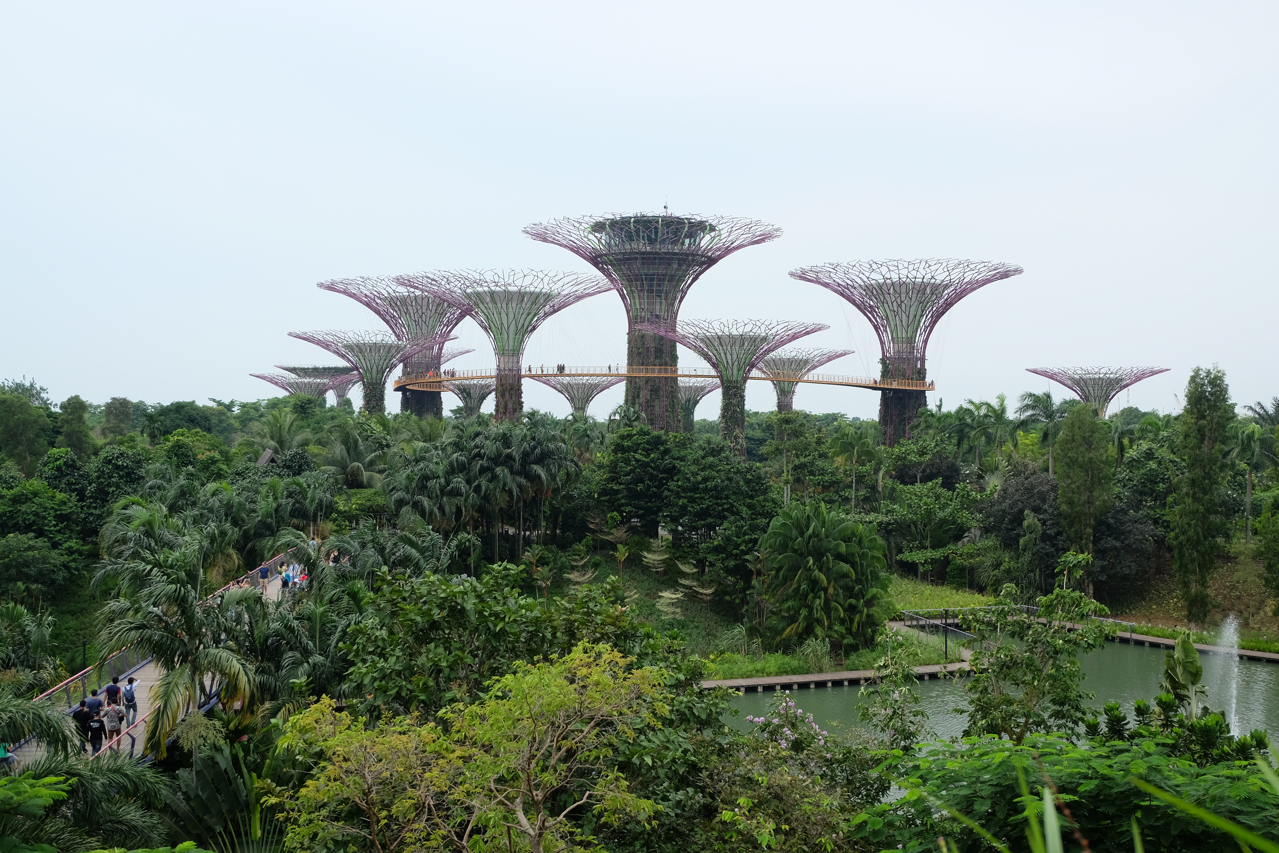 Gardens by the Bay