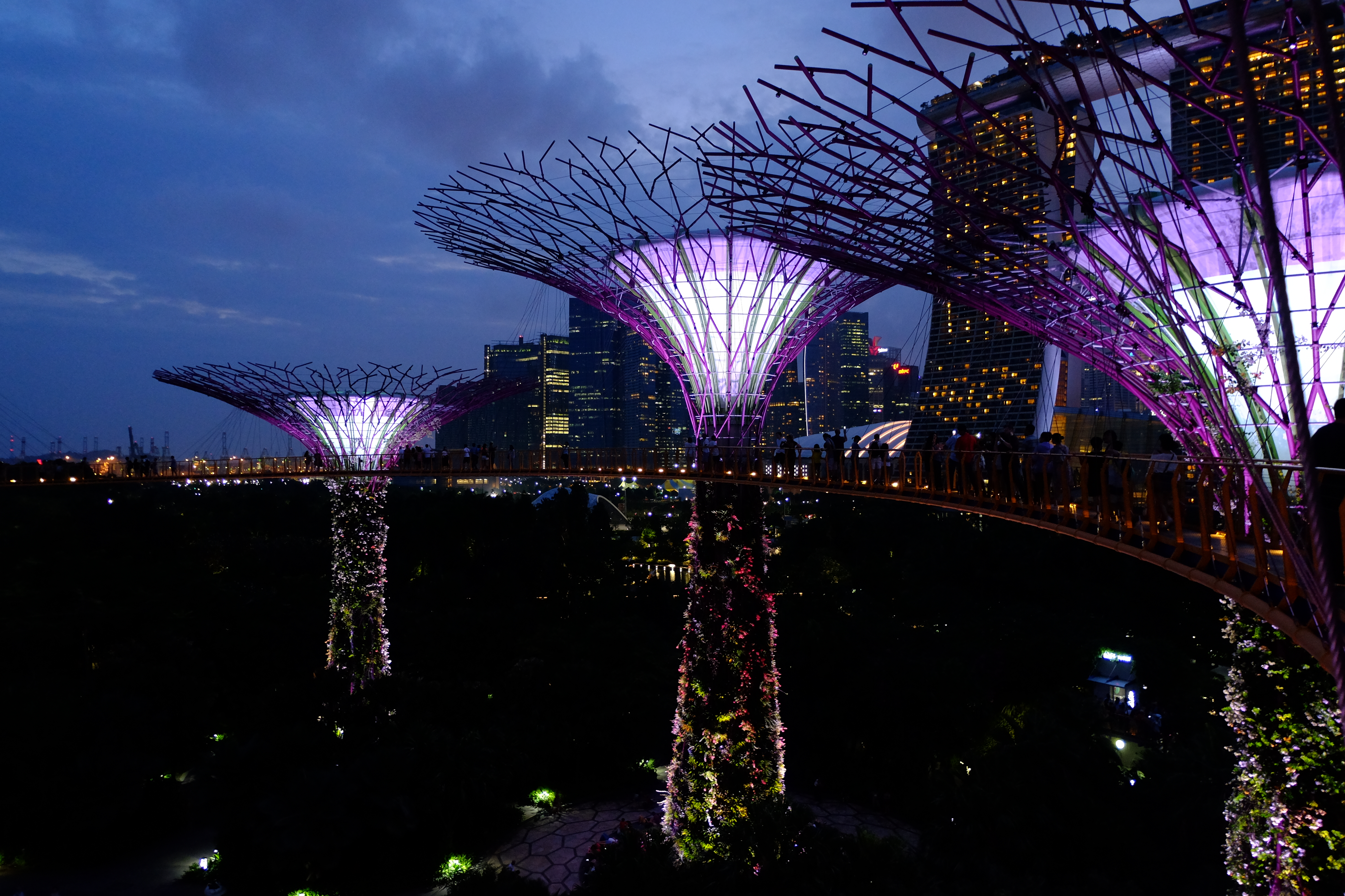 Supertree Grove by night
