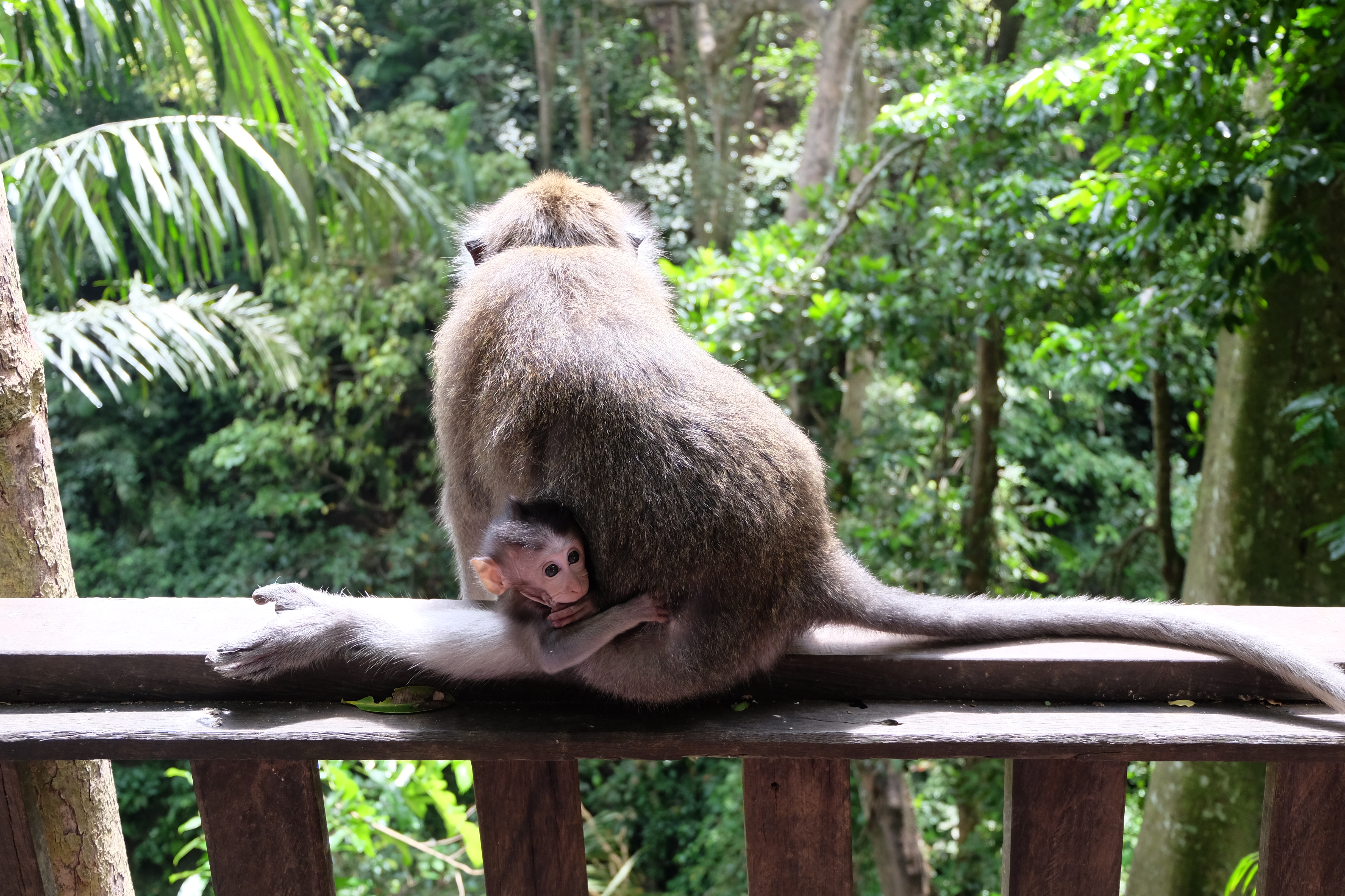 Moment de tendresse