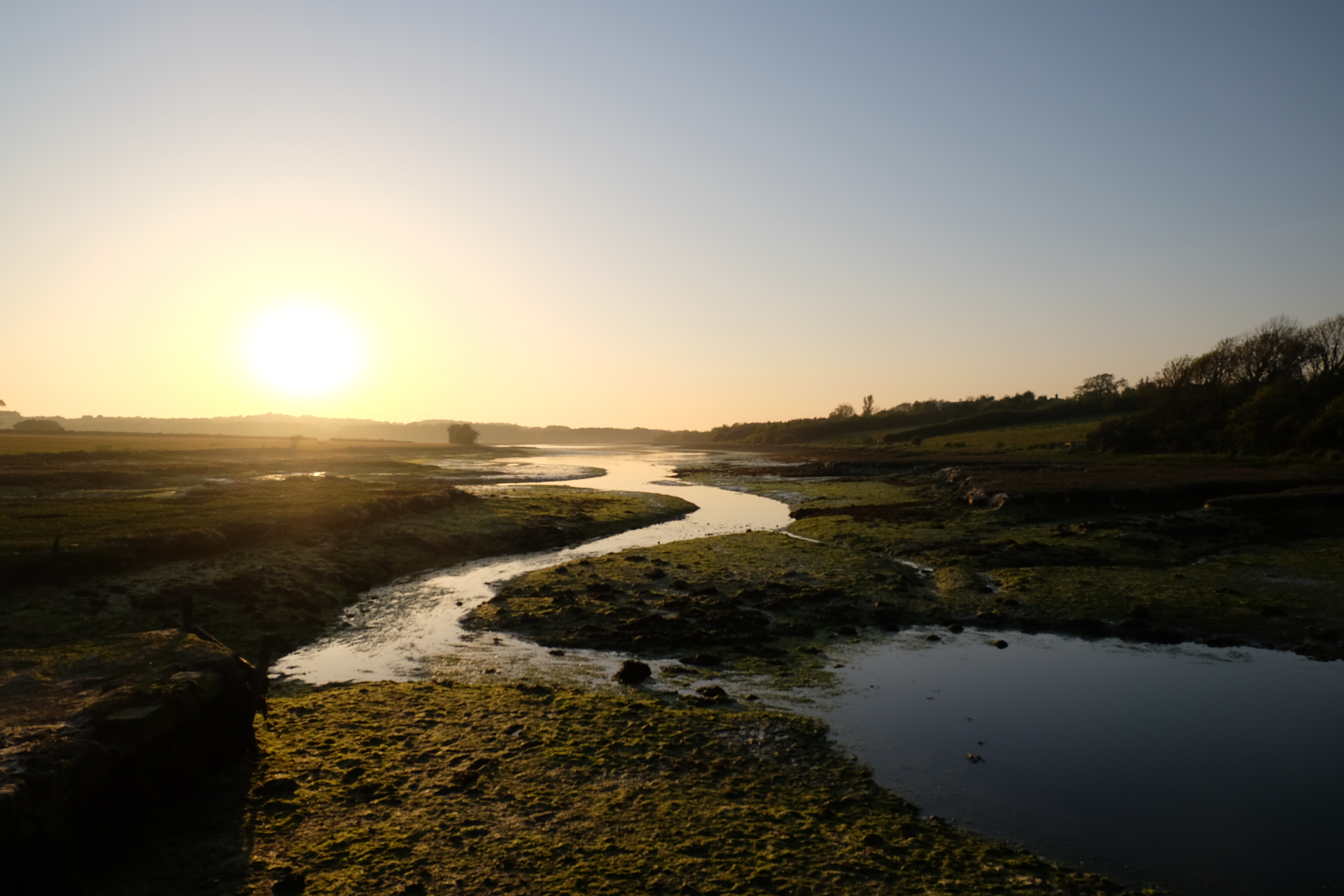 Les marais de Newton