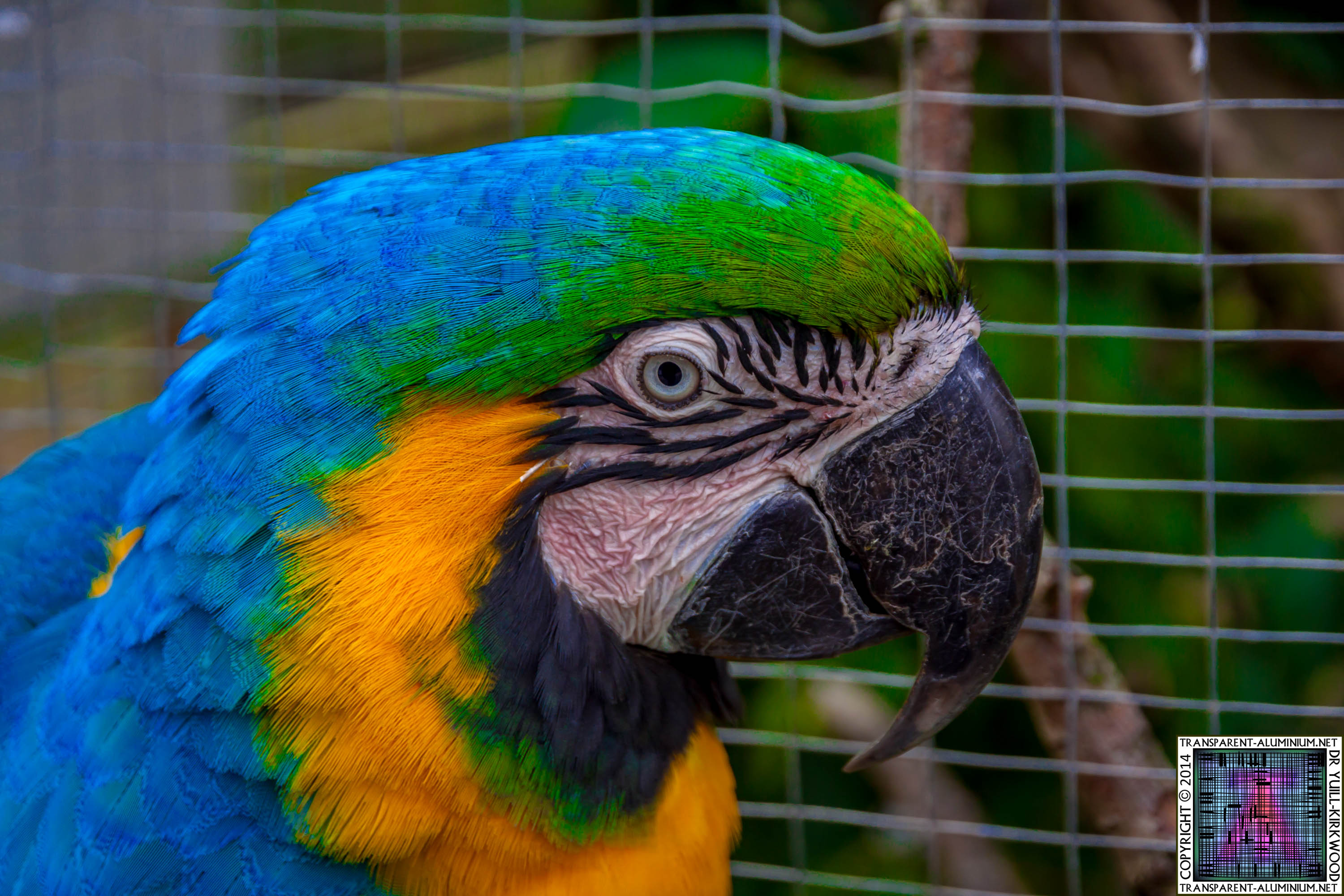 Wetheriggs Animal Rescue