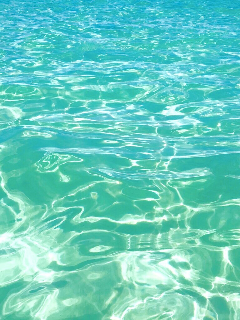 enlight466