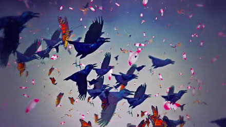 Trapcode Gallery - Amazing Mountain Picture - High Resolution