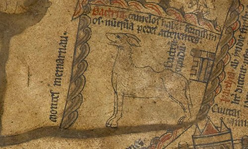 Fig. 5 Hereford Camel (really) https://www.themappamundi.co.uk/mappa-mundi/