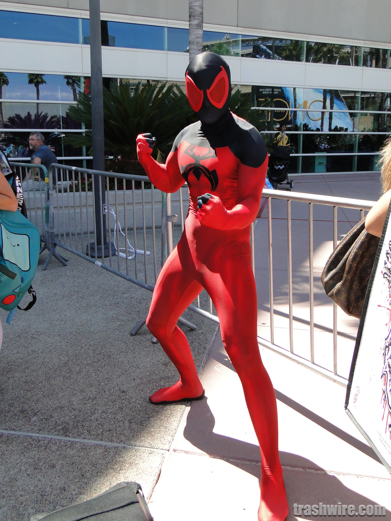 Cosplayer at Comic Con 2014