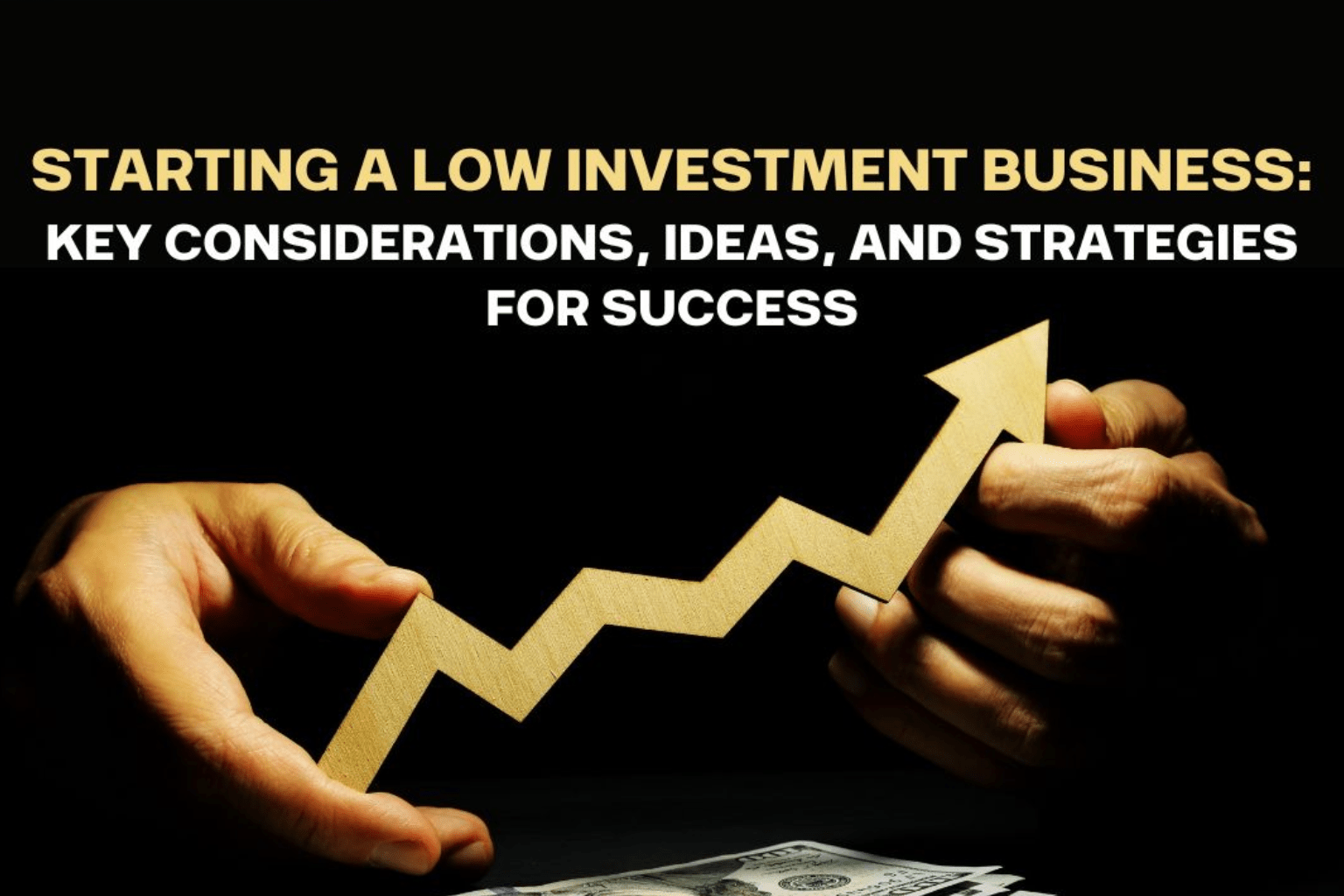 Low Investment Business