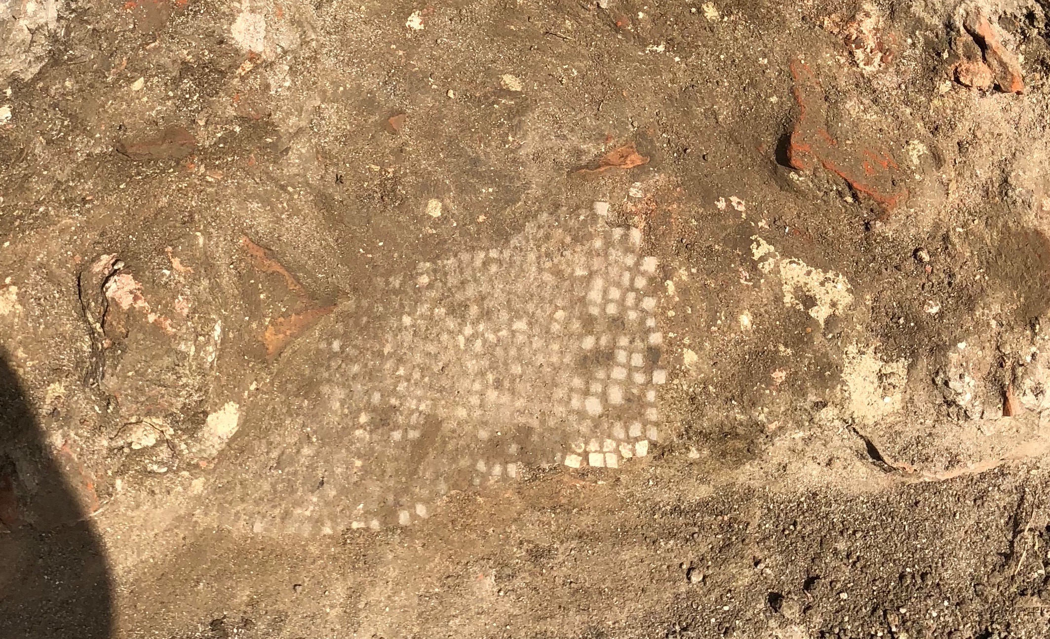 Mosaic in D2, taken June 5th 2018